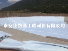 HDPE復(fù)合土工膜購買過程需要注意哪些細(xì)節(jié)要點(diǎn)？