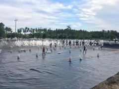 魚(yú)塘土工膜焊接遵循的六項(xiàng)基本原則