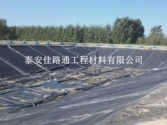 坡面鋪設(shè)糙面防滲土工膜:守護(hù)水土的綠色衛(wèi)士