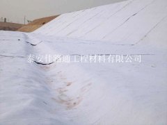 智馭自然之力:透水土工布使用注意事項(xiàng)新視角