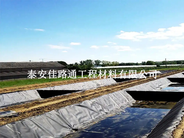 魚塘防滲土工膜：魚兒成長(zhǎng)的雙刃劍？