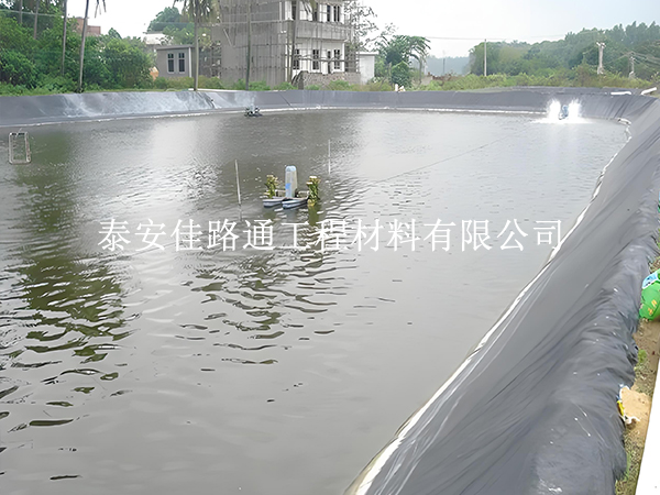魚蝦養(yǎng)殖防滲膜選黑還是白？掌握這些原則不選錯