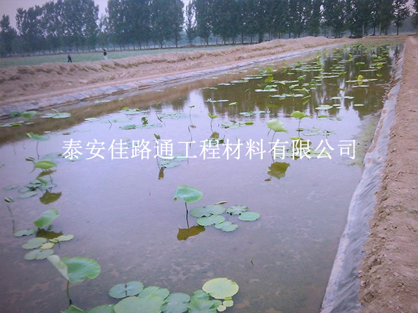 養(yǎng)殖防滲膜施工別大意，這些控制要點(diǎn)要抓實(shí)