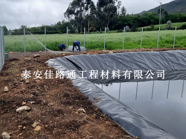 養(yǎng)殖防滲膜在養(yǎng)豬場(chǎng)污水處理中的核心作用：防滲護(hù)境，助力養(yǎng)殖合規(guī)