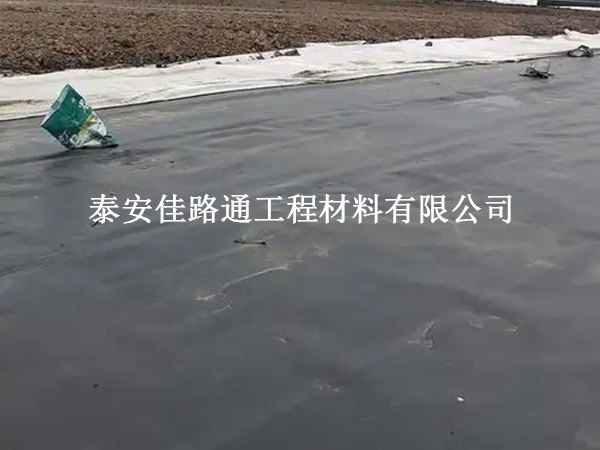 揭秘垃圾填埋場防滲膜鋪設(shè):細節(jié)成就防滲屏障 揭秘垃圾填埋場防滲膜鋪設(shè):細節(jié)成就防滲屏障